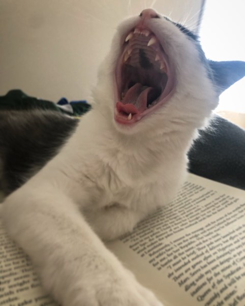 75fde2b6-1017-4726-bc70-b6596d954a5b